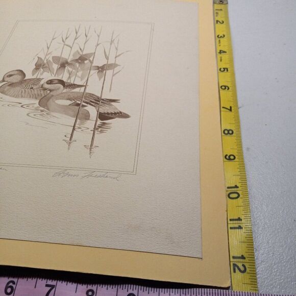 Vintage American Waterfowl Etching/Print Lynn Forehand 4 of 5 Cottagecor… - Picture 6 of 7